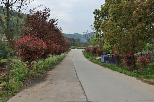 農村公路