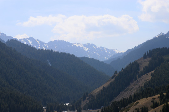 烏魯木齊南山風(fēng)景