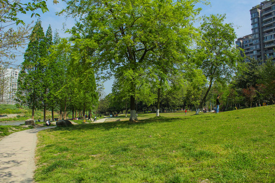 公園