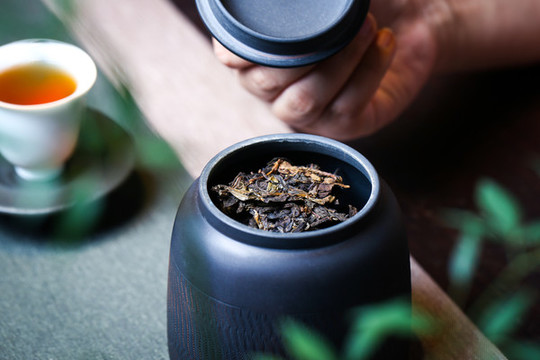 普洱茶