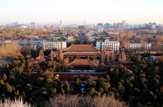 北中軸線