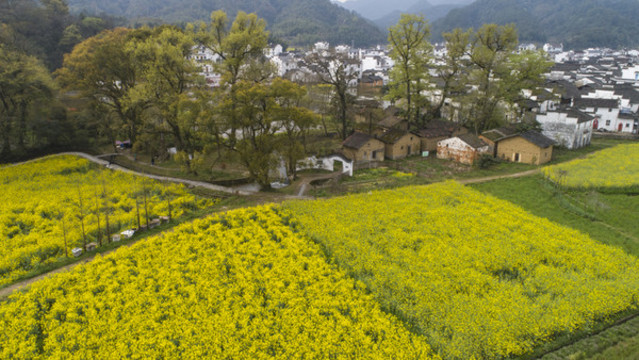 嚴(yán)田古村