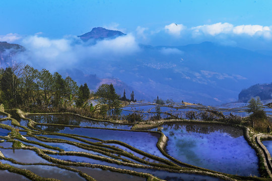 元陽梯田