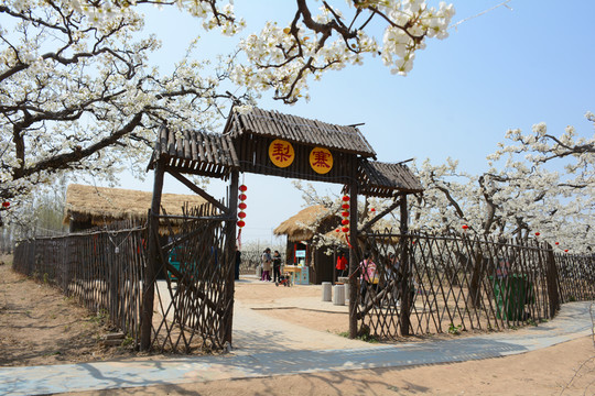 美麗鄉(xiāng)村