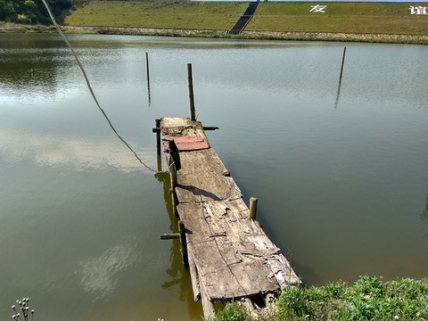 木橋