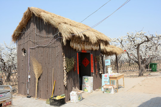 田園茅屋