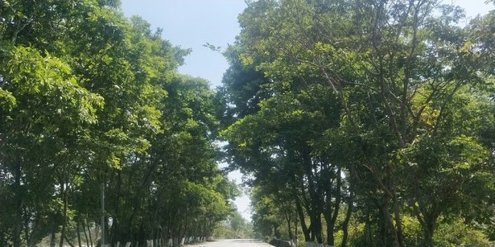德宏風(fēng)情