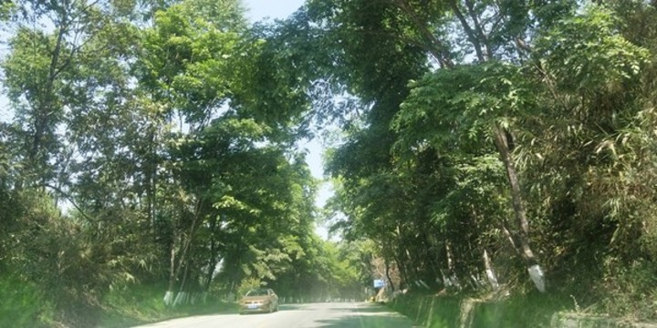 德宏風(fēng)情