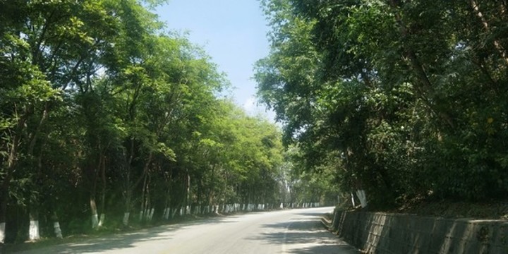 德宏風(fēng)情