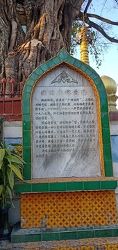 云南芒市樹(shù)包塔