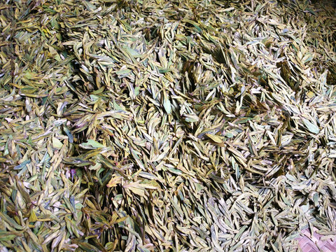 剛剛炒制龍井
