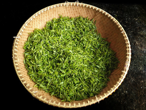 一籮筐新茶拍攝