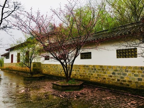 左宗棠故里