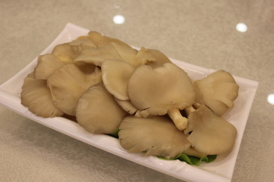 平菇