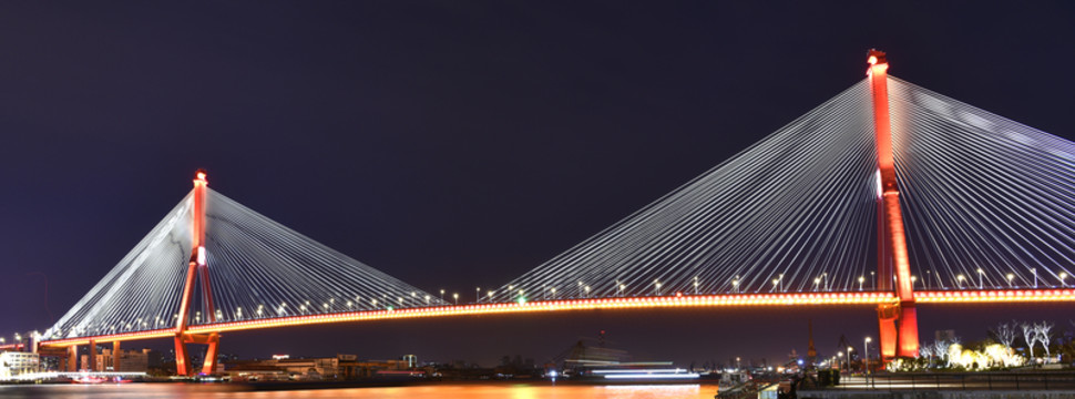 上海楊浦大橋
