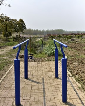 雙杠