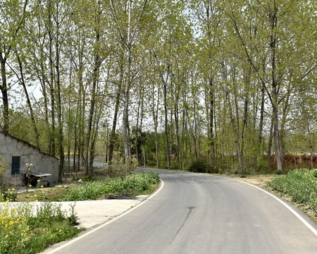 鄉(xiāng)村公路