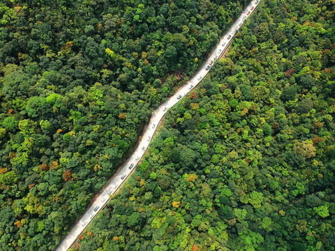 林間公路