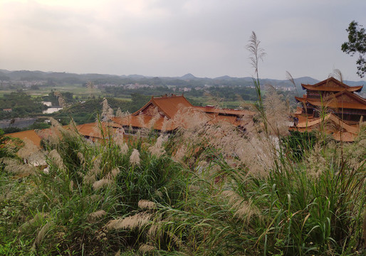 屋頂上的美景