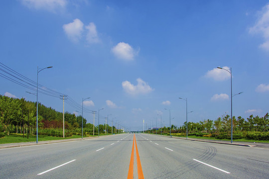 鞍山羊草莊公路與兩側(cè)樹木