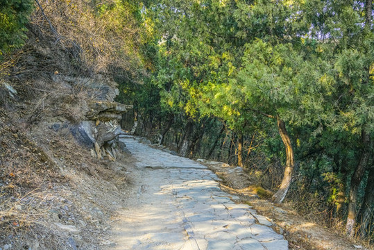 登山步道高清大圖