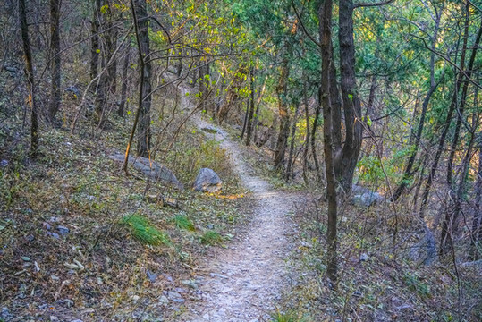 登山步道高清大圖
