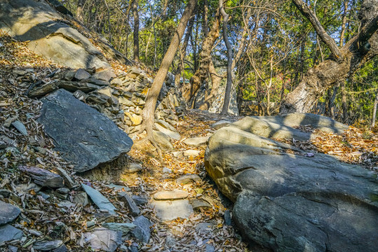 登山步道高清大圖