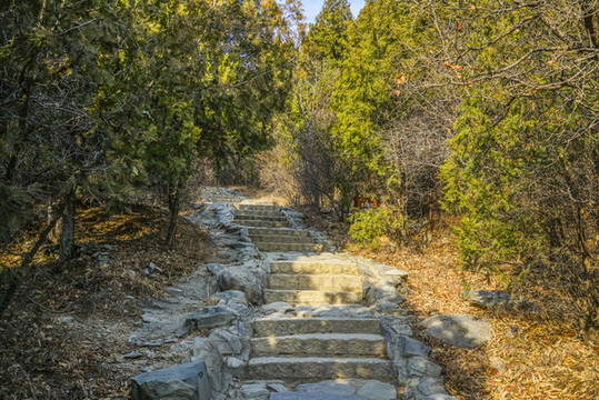登山步道高清大圖