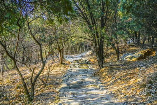 登山步道高清大圖