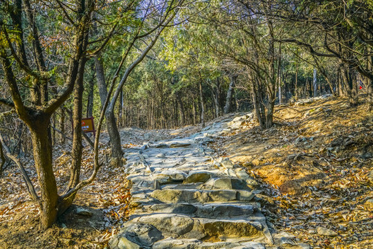 登山步道高清大圖