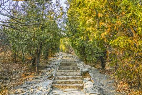 登山步道高清大圖