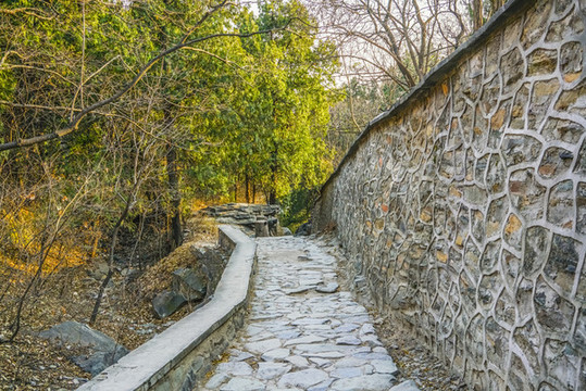 登山步道高清大圖