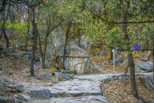 登山步道高清大圖