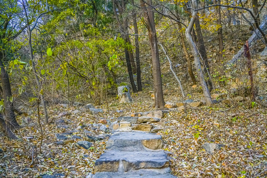 登山步道高清大圖