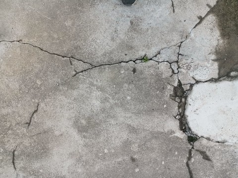 水泥地裂縫