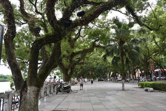 漓江風(fēng)光