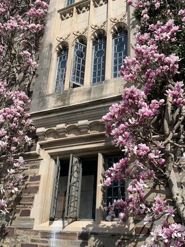 美國藤校之普利斯頓大學