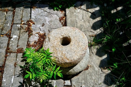 古井高清大圖