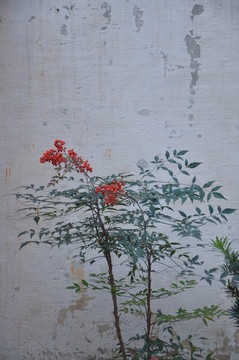 宏村