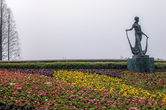 杭州花圃