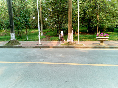 大學(xué)校園