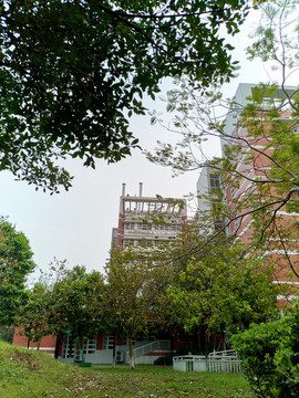 大學(xué)校園