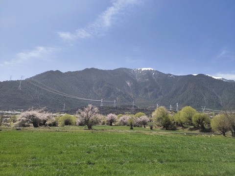 林芝風(fēng)光