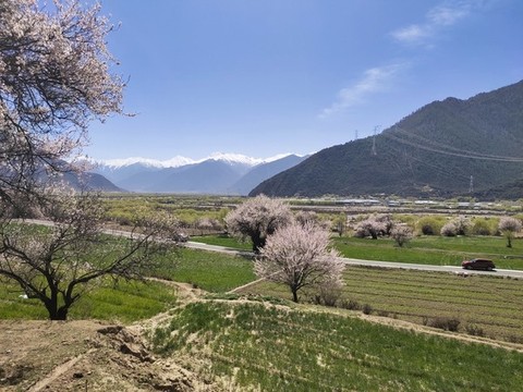 林芝田園風(fēng)光