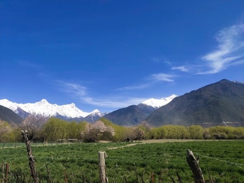 林芝風(fēng)景