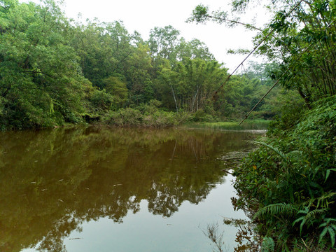 小湖