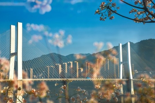 斜拉橋