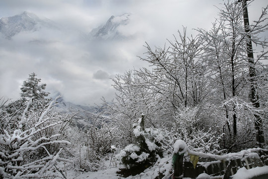 霧凇雪山