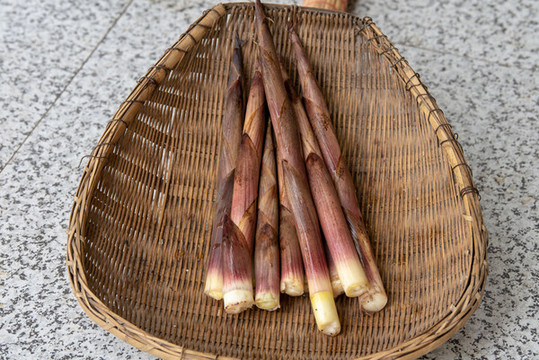 竹筍