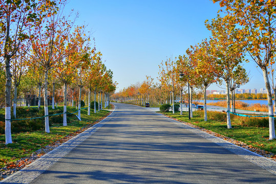 公園步道高清大圖